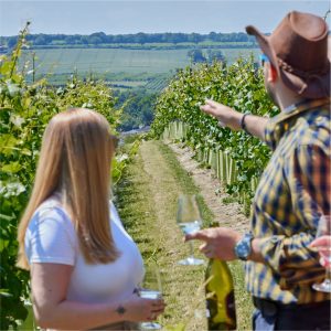 Tour & Tasting