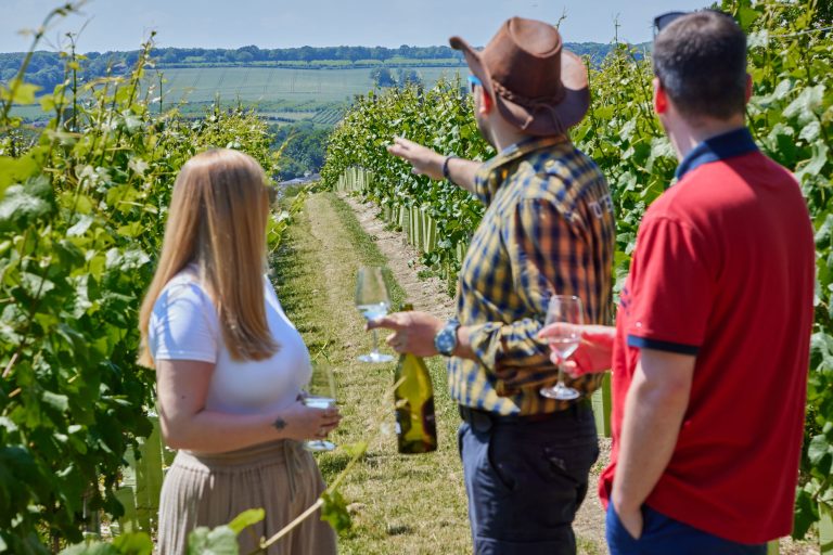 on a tour experience at wildshark vineyard in kent